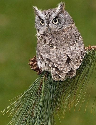   - 27  2016  07:04 - 3