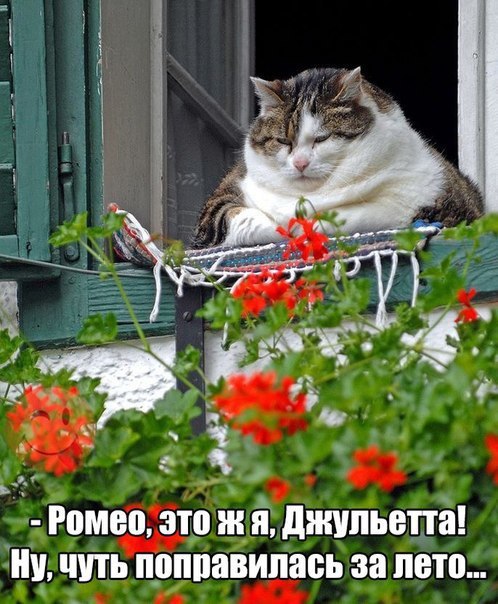       - 6  2016  11:47