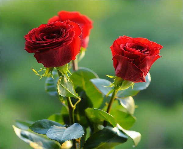 � ������ �����, ������� ������! ����� ����������� ����� �������� ��� ����� ������! �������� ...