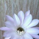 ��� ������ ������ �������........ �� ������� ���� ����������