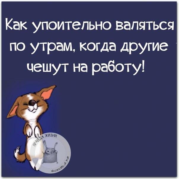   - 13  2016  10:02