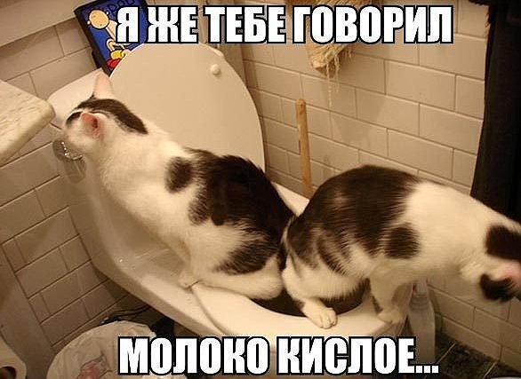 ***Victoria Viktorovna*** - 18  2016  16:07