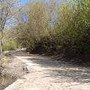 ���� �����, ������, 59 ��� - ��������� 9 ���� 2016 � ������ ���� ����������