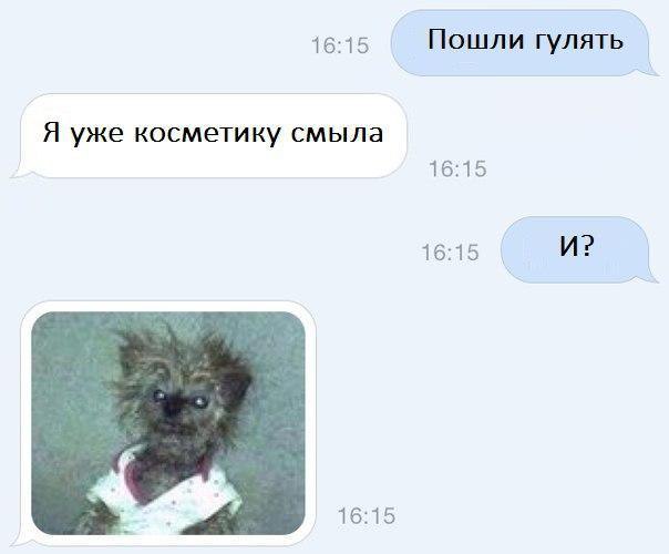     - 31  2016  17:31