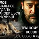 ���� �������, �������� - ��������� 9 ��� 2016 � ������ ���� ����������