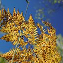 ���� �����. �� ������� ���� ����������