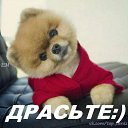 ���� ������, ��������, 52 ���� - ��������� 11 ������ 2016 � ������ ���� ����������