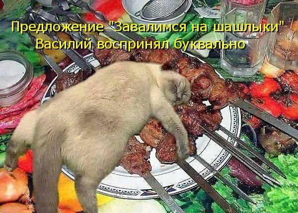 Без кота и жизнь не та - 4 апреля 2016 в 19:31