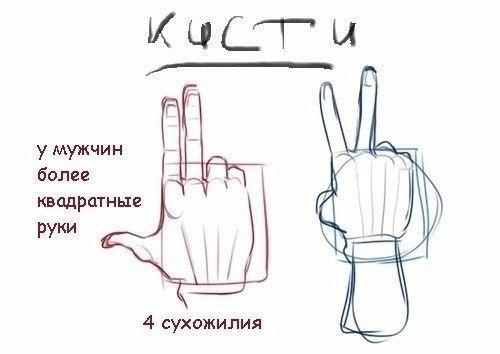   .  .       . ... - 5