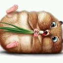 ���� �����, ������������, 43 ���� - ��������� 30 ������� 2016