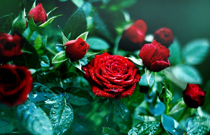     !       !       ... - 3