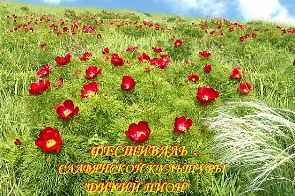 В Ульяновской области растет необыкновенный цветок-дикий пион, который, по мнению некоторых ...