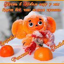 ���� �������, ���������� - ��������� 14 ��� 2016 � ������ ���� ����������