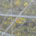  , , 69  -  20  2016    .  2016.