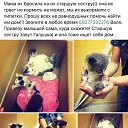 ��� ��� �� �����))) �� ������� ������ ��������