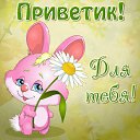 ���� ����, ����������-��-�����, 56 ��� - ��������� 5 ��� 2016 � ������ �������� ��������