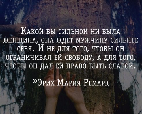  - 3  2016  06:16