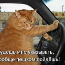 ���� Alekcandr, ������ - ��������� 20 ��� 2016 � ������ ���� ����������