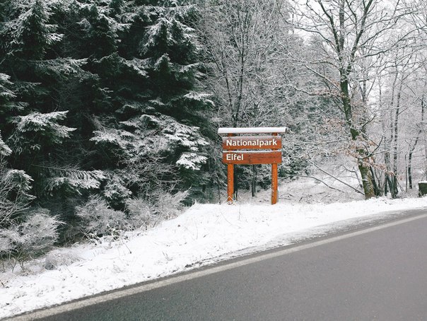 ������������ ���� ������ � ���� �� ����� ����������� ���� ��������. �� ��� ���������� ��������� ...