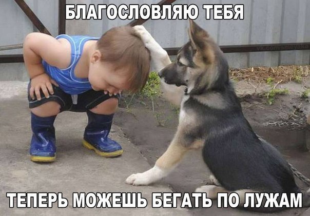    :D - 7  2016  16:07