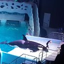 ���� ����, ������, 56 ��� - ��������� 20 ������� 2016 � ������ �����