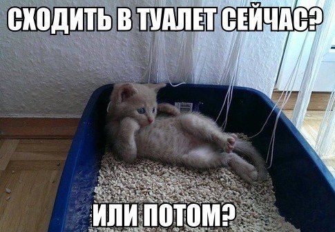 :)