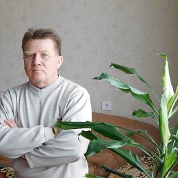 ��������, ��������, 68 ���