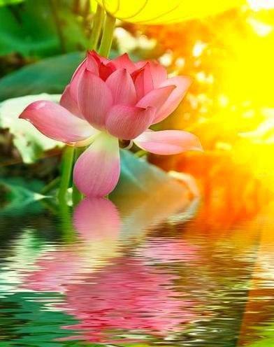 Сохраните в себе человека, оно того стоит….А пройдя испытанья, судьба дозу счастья удвоит…Даже если ... - 4