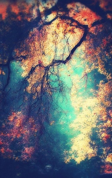 Art & Fun - 4  2016  11:03 - 4