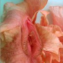 ���� ����, ������ - ��������� 27 ��� 2016 � ������ �������� ������ �����