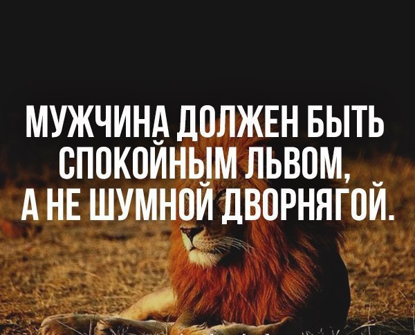 IQ Blog: , , ,  - 12  2016  21:02