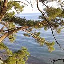  ,  -  14  2016    Ż