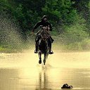 ���� �����, �������� - ��������� 3 ������� 2016 � ������ ���� ����������