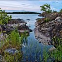 ���� ������, �����-���������, 49 ��� - ��������� 12 ������ 2016 � ������ ������ ��������