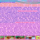���� ��������, �������������, 60 ��� - ��������� 8 ������ 2016 � ������ ������ ���� � �������