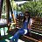 ���� �����, �����-��������� - ��������� 1 ���� 2016