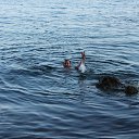 ���� �����, ������, 34 ���� - ��������� 26 ���� 2016 � ������ ���� ����������