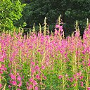 ���� �������, ������ - ��������� 5 ��� 2016 � ������ ������� ���� 2015�