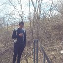  , , 36  -  26  2016    2016