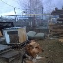 ���� �������, �������, 50 ��� - ��������� 20 ������ 2016 � ������ ���� ����������