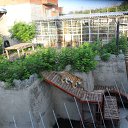 � �����,����� �������...