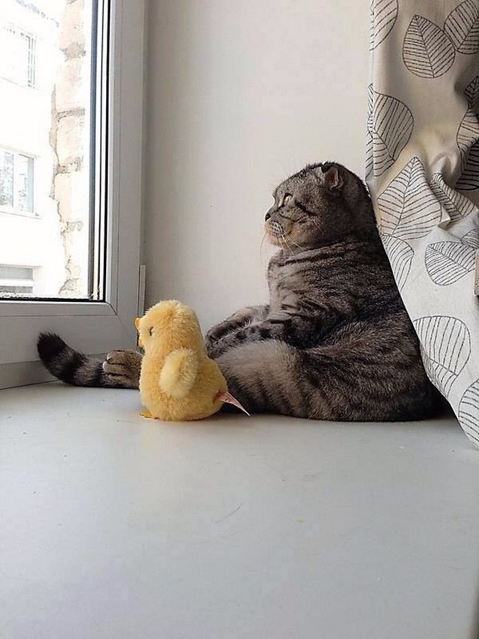 :)   ..    ...      !!!!!