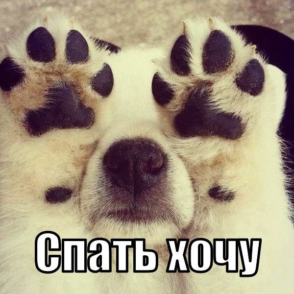  , ).   