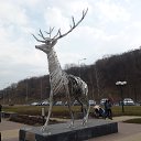    !!!   !!!!     !!!!!!!)))))    ))))