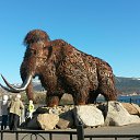 ���� �����, �����������, 40 ��� - ��������� 4 ���� 2016 � ������ ���� ����������