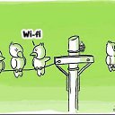 ���� Stiv, ��������, 52 ���� - ��������� 18 ������ 2016 � ������ ���� ����������