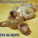 ���� �����, ������ - ��������� 21 ���� 2016 � ������ ������