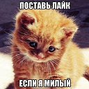  ,  -  7  2016    