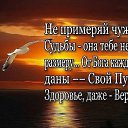 ���� ��������, ������ - ��������� 18 ���� 2016 � ������ ������ ��������