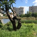 ���� ���������, ���������, 28 ��� - ��������� 4 ������ 2016